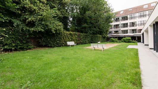 Assistentiewoning Te huur Tielt (8700)